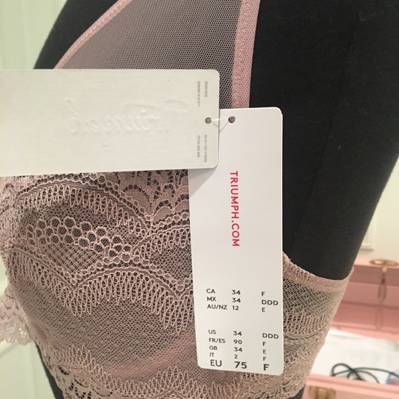 Lace bra - Picture 4 of 6